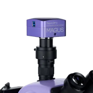 Микроскоп стереоскопический цифровой MAGUS Stereo D9T, изображение 22