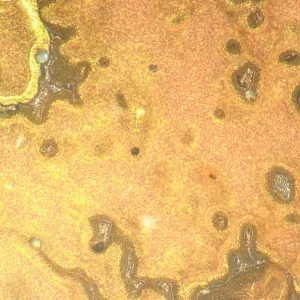 Микроскоп металлографический инвертированный MAGUS Metal V790 DIC, изображение 21