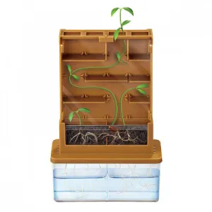 Набор для опытов ND Play «Умные растения» 6+, изображение 2