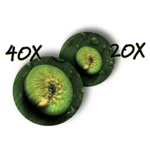 Микроскоп детский портативный Navir «Зумскоп» 20–40x, с подсветкой, изображение 2