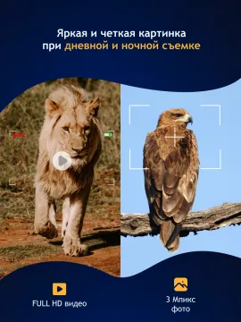 Бинокль цифровой ночного видения Levenhuk Halo 13X, изображение 16