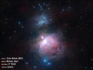 Труба оптическая Celestron RASA 8, изображение 8