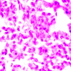 Микроскоп биологический MAGUS Bio 270T, изображение 24