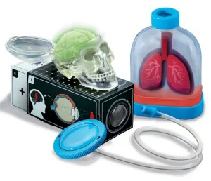 Набор 4M 00-03374 «Юный врач. Анатомия человека», изображение 2