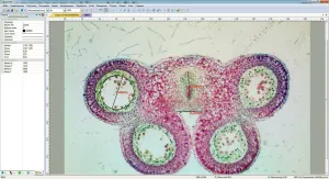 Видеоокуляр ToupCam 3,2 Мпикс, изображение 8